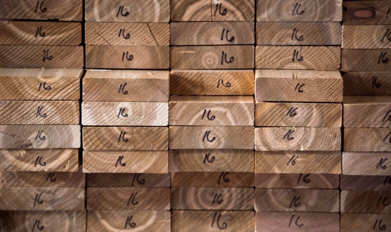 The cut ends of stacks of cedar planks, marked with the number 16, are shown. 