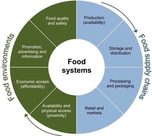 A simplified diagram of food system source HLPE 2017