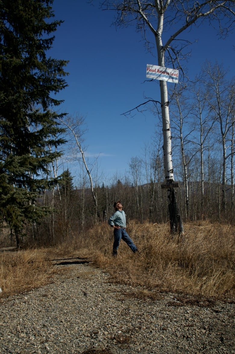 A person in an open field on a sunny day looks at a sign high up in a tree.