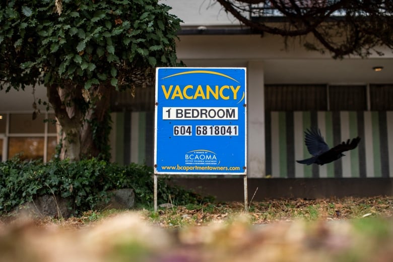 A lawn sign that reads 'Vacancy 1 Bedroom'.