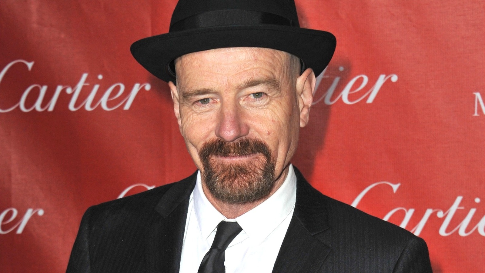 bryan cranston his life from childhood to hollywood stardom