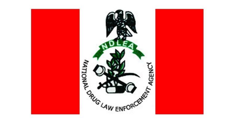 NDLEA crackdown: Over 350 drug peddlers apprehended in Kano