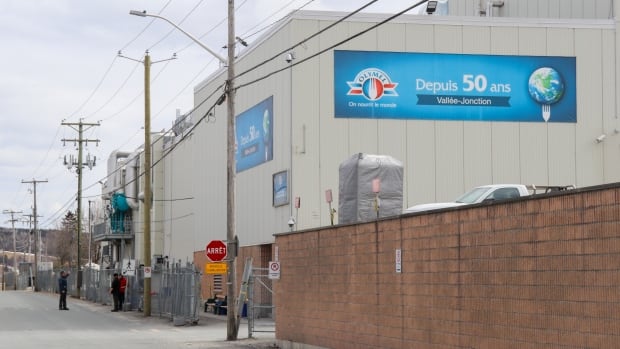 olymel to close quebec pork plant nearly 1000 people to lose their jobs