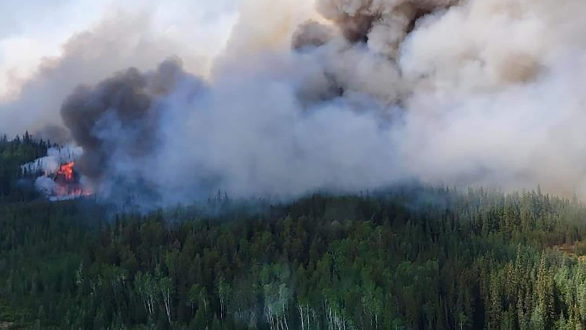 alberta closes 12 provincial parks due to increased risk of wildfires over long weekend