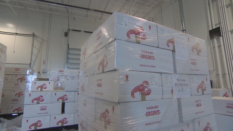 Boxes of lobster in a warehouse.