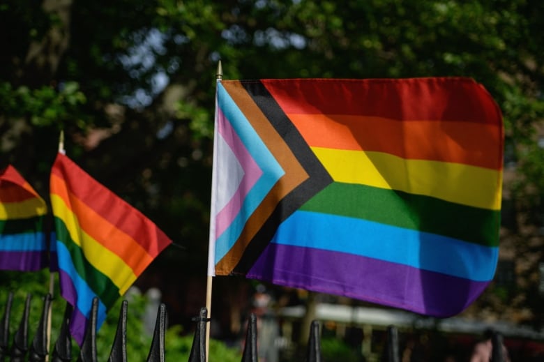 A six-colour rainbow-striped flag with a chevron of white, pink, light blue, brown and black on the left side, with two other rainbow flags in the background.
