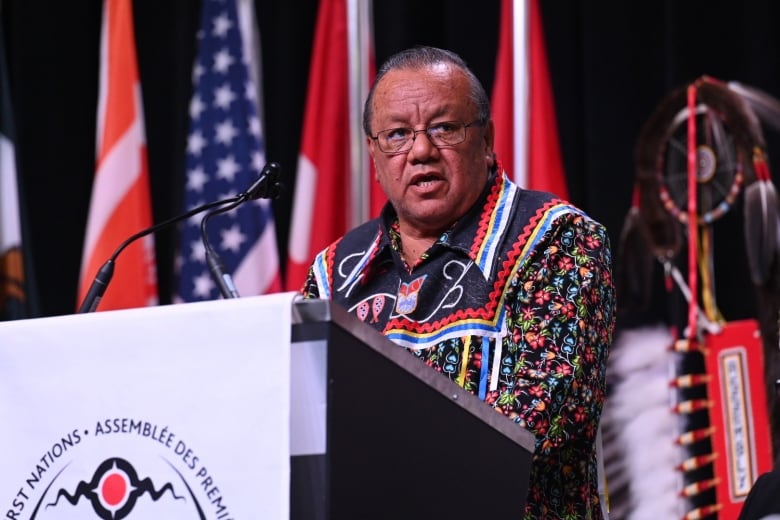 AFN head defends against removal, says opponents ‘behaving like Indian agents’