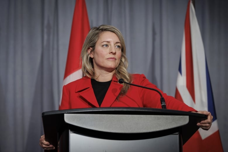 Foreign Affairs Minister Melanie Joly holds a press conference in Toronto, Wednesday, January 18, 2023.
