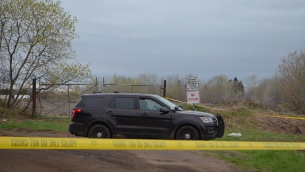 opp reinvestigating deaths of 13 indigenous people in thunder bay ont over 13 year period