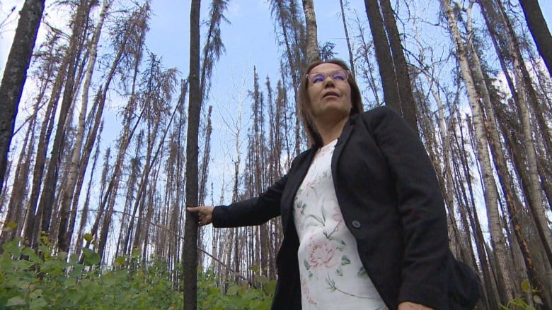 A woman wearing glasses and a blazer stands in a forest. She reaches out to touch a thin, black tree trunk. She's looking at someone off-camera, explaining the effects of the fire.