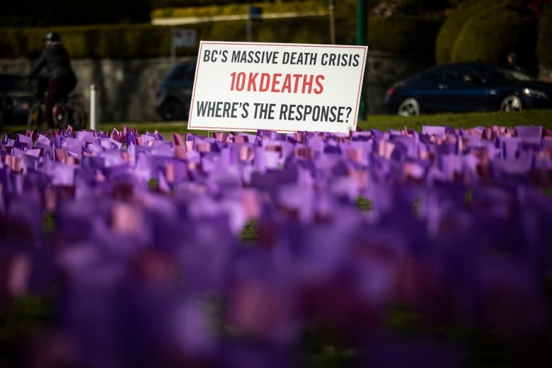 Purple flags that represent the lives lost due to drug overdoses are pictured during a Moms Stop The Harm memorial on the sixth anniversary of the opioid public health emergency in Vancouver, British Columbia on Thursday, April 14, 2022.