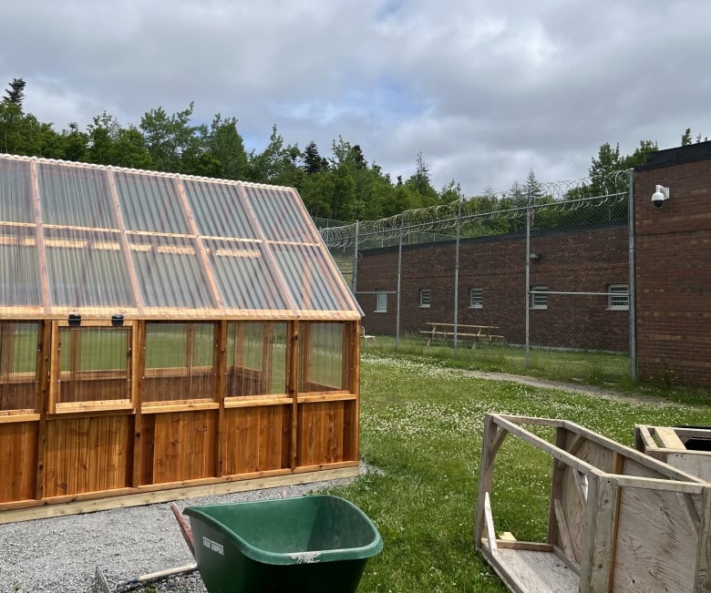 On the left, a wooden greenhouse. On the right, a brick building enclosed by wire fencing. In the foreground, a wheelbarrow and some wooden boxes.
