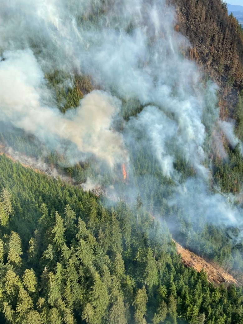 An image from above shows fire and smoke among a thicket of trees.