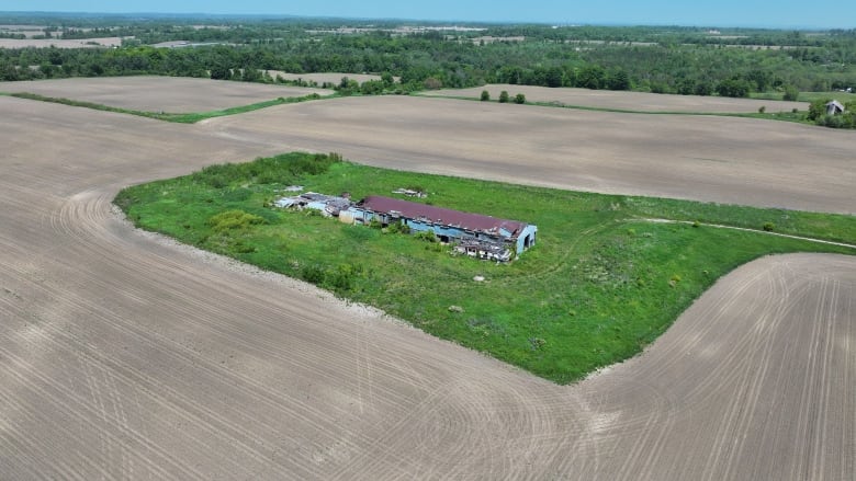 Aerial photo of a ruined barn on a grassy field surrounded by groomed farmland