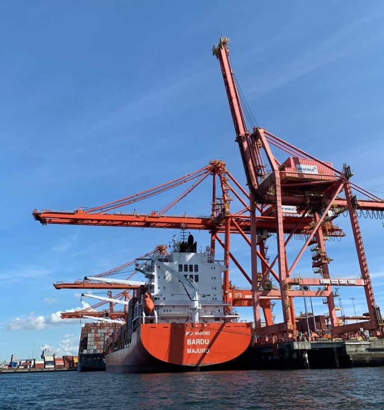 A large cargo loading crane lifts shipping containers off a ship.