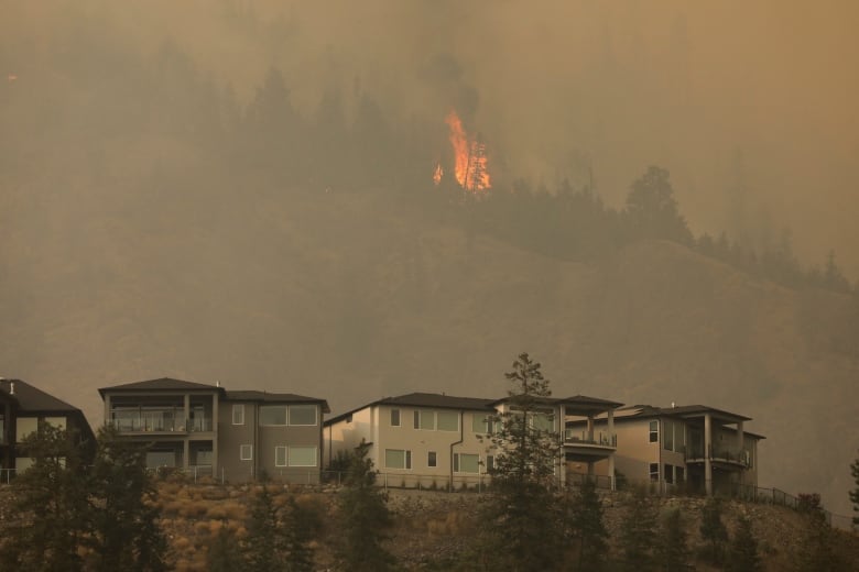 A wildfire burns on a hilltop overlooking a row of houses.