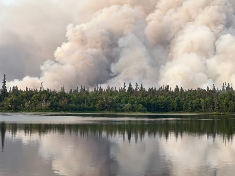 Smoke rises above the pine tree line during forest fire season in Quebec.