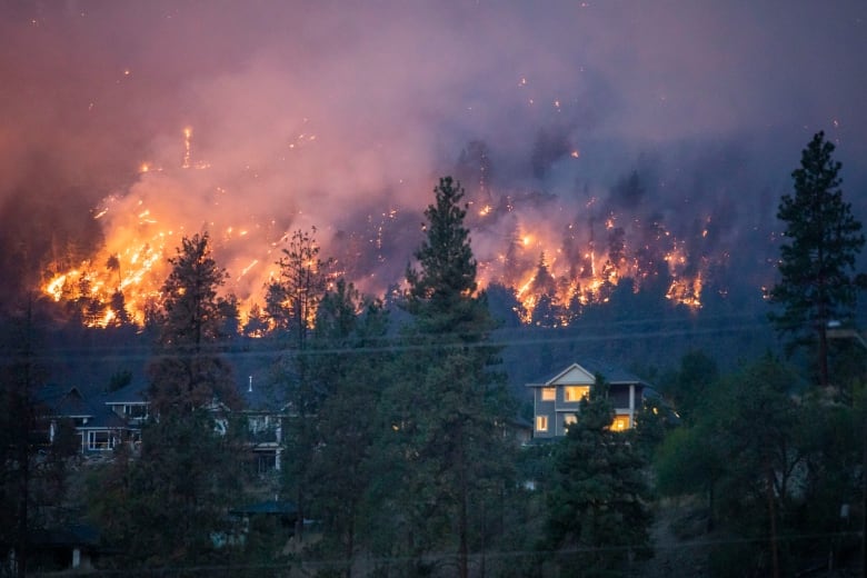 Homes with forest on fire behind them in Kelowna, B.C., at dawn.