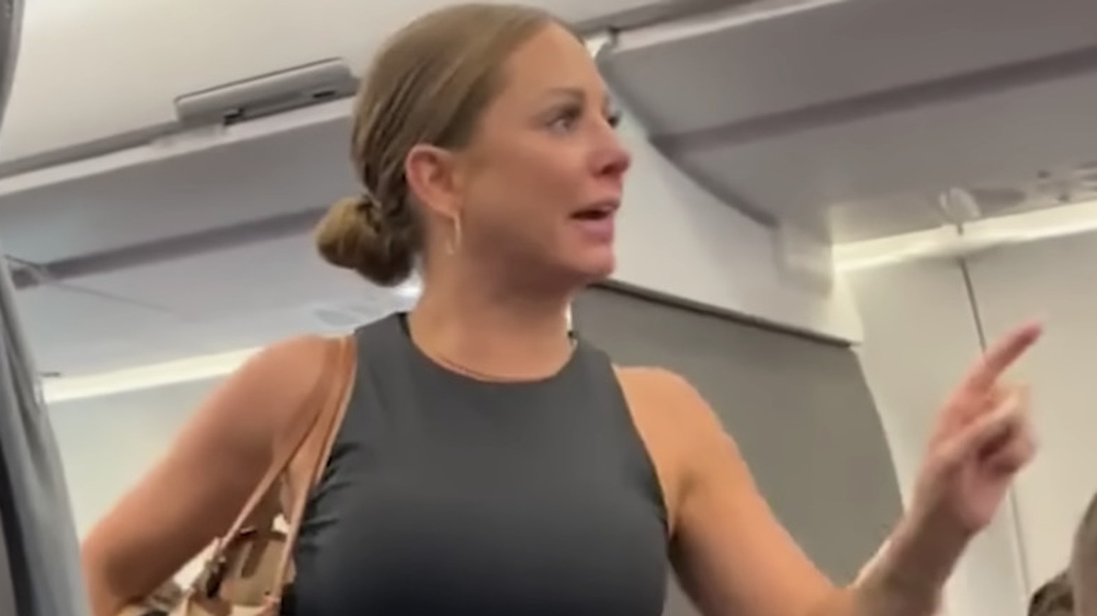 woman behind viral plane meltdown is an exec in real life