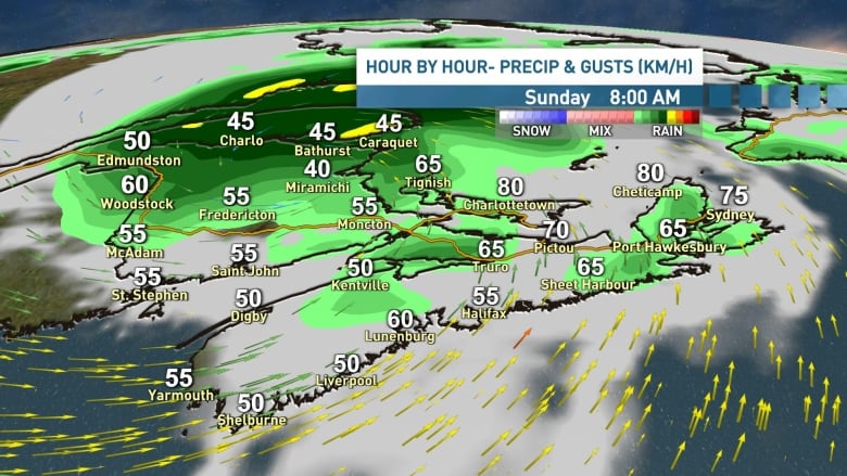 Some lingering bands of rain and gusty winds are likely to continue into Sunday morning.