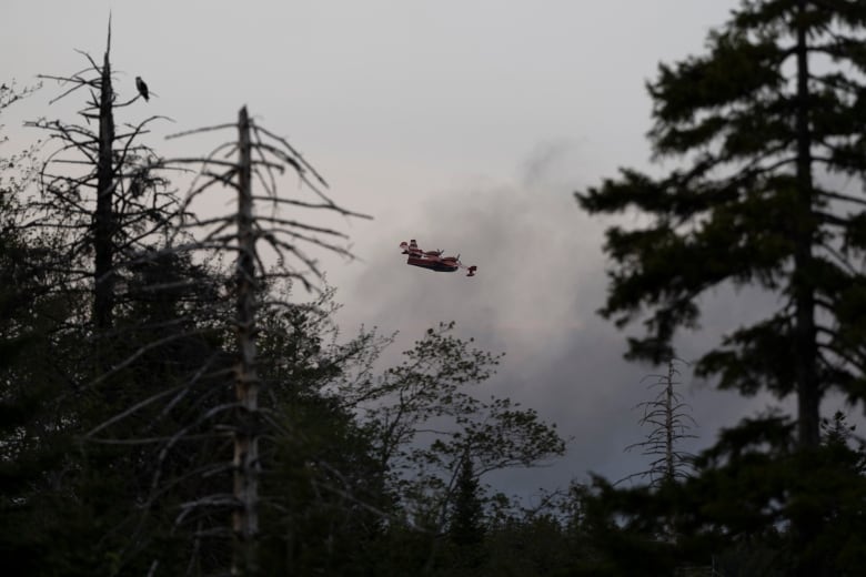 Fires outside Halifax destroyed hundreds of homes. It's a warning for what's to come as climate change makes fire-conducive weather conditions more common in Atlantic Canada.