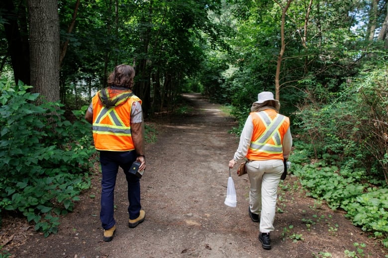 Peel region public health inspectors Alexander Clemens and Beata Hilliard collect mosquito samples as part of a West Nile Virus screening program on Aug. 1, 2023.