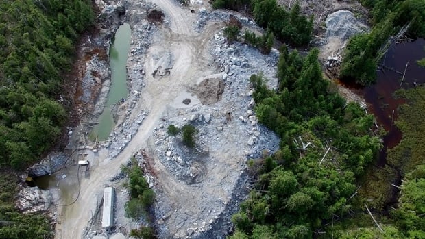 Former B.C. mining exec fined K for environmental violations — but First Nation says damage costs far more