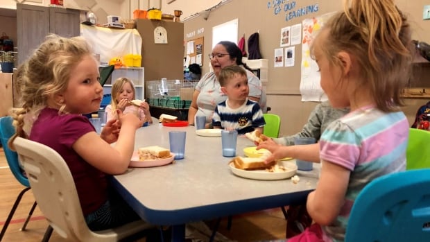 Saskatchewan, Manitoba and Newfoundland lead the nation on supplying -a-day child care