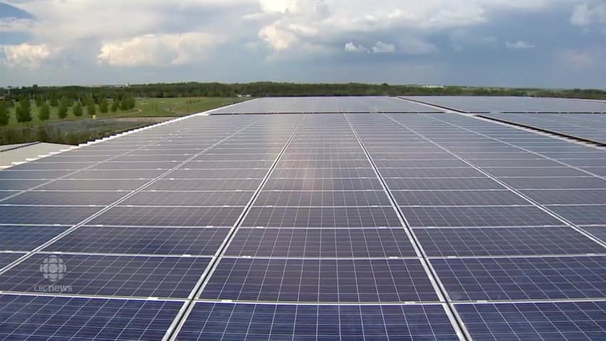 are solar farms really a threat to food farms 4