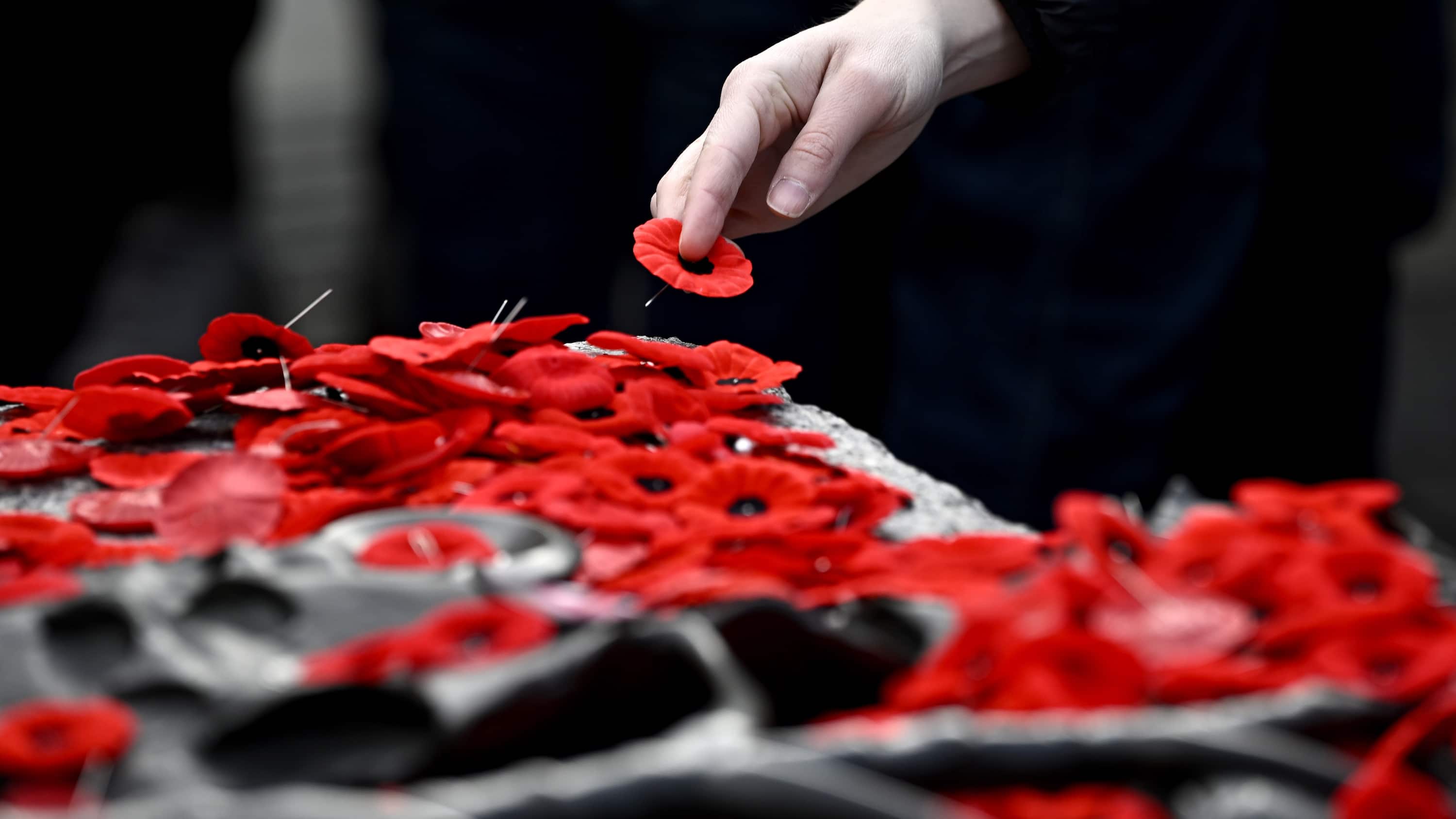 canadians mark remembrance day as top soldier warns of global security threats