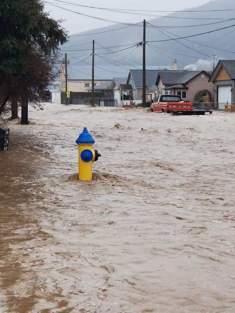 A street in Merritt submerged by flowing water. A yellow and blue fire hydrant is also half submerged.