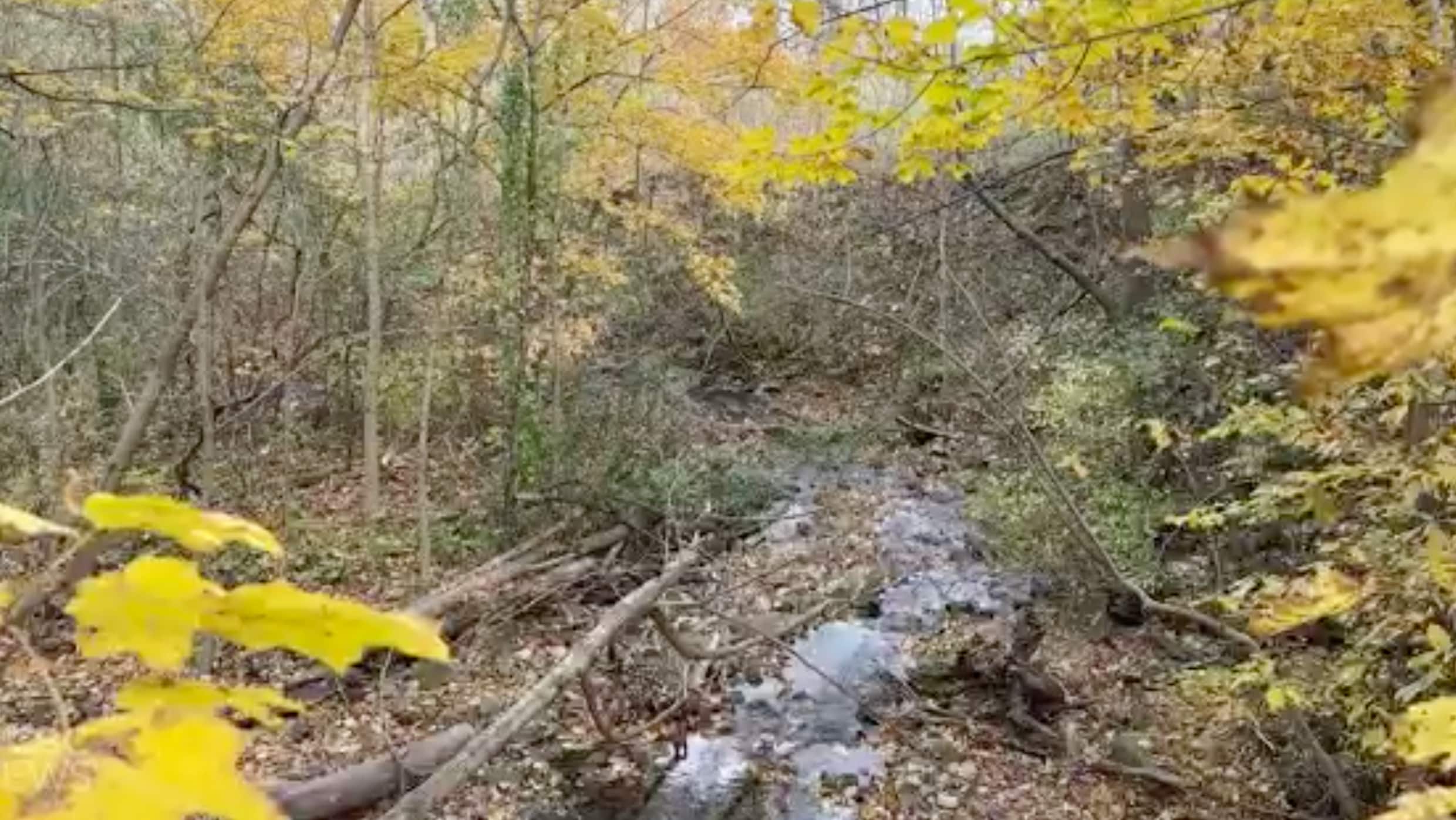 meet some of the 1500 volunteers who go all in to clean up and fix ontario hiking trails 3