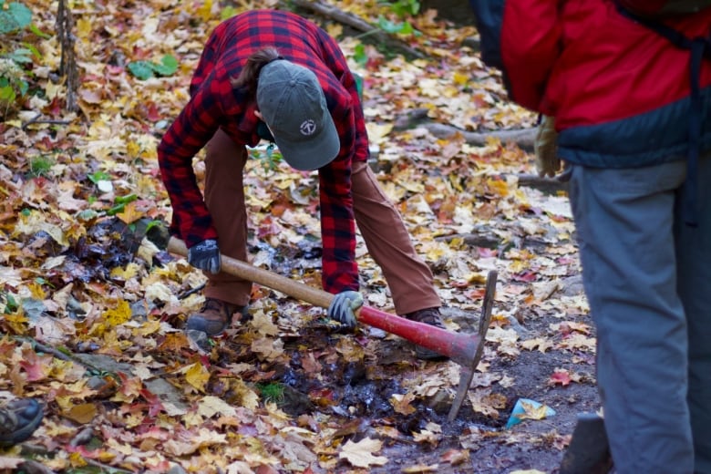 A person uses a mattock to clear debris from a pipe buried under a path