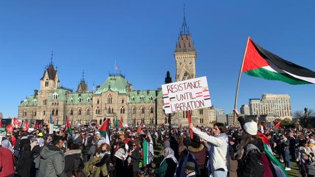 pro palestinian marches held across canada amid global protests