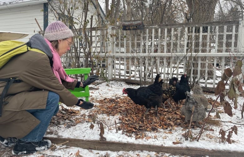 A woman wearing winter clothes crouches down with a outstretched arm to hand feed four chickens on the snow-covered ground.