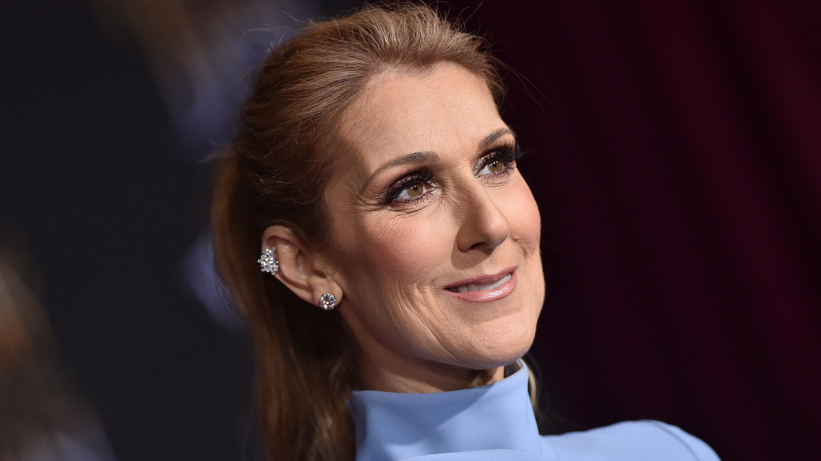 the real reasons you dont see much of celine dion anymore
