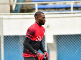 NPFL: Enyimba battle ready for Rivers United -- Ozoemena
