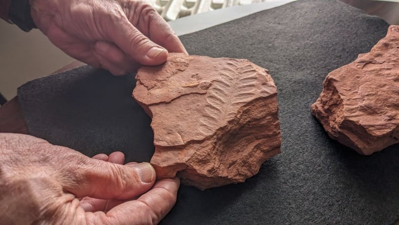 Close-up of two hands holding a red clay rock slab with a fern imprint.