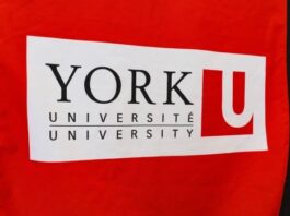 3,000 York University academic workers go on strike