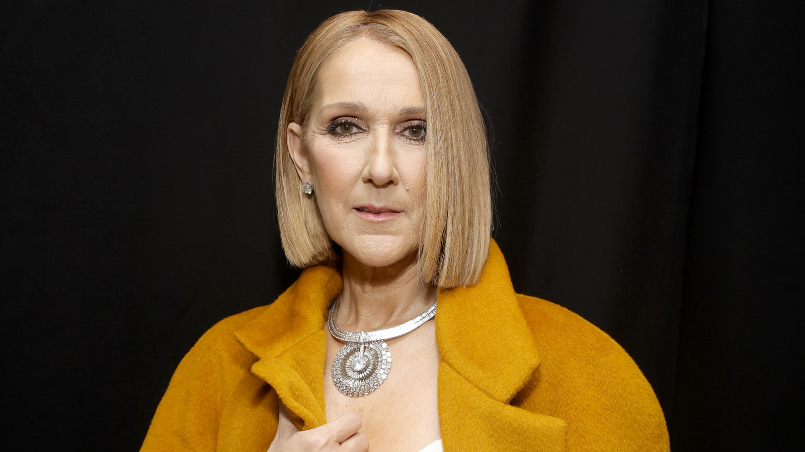 celine dions unexpected attendance at 2024 grammys raises more questions about her health