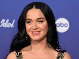 Katy Perry's Reason For Leaving American Idol Is Oddly Cryptic