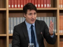 Trudeau hints at tougher penalties for car thieves as Ottawa seeks ideas to tackle thefts