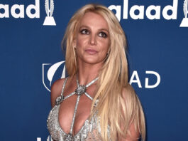 The Shady Side Of Britney Spears