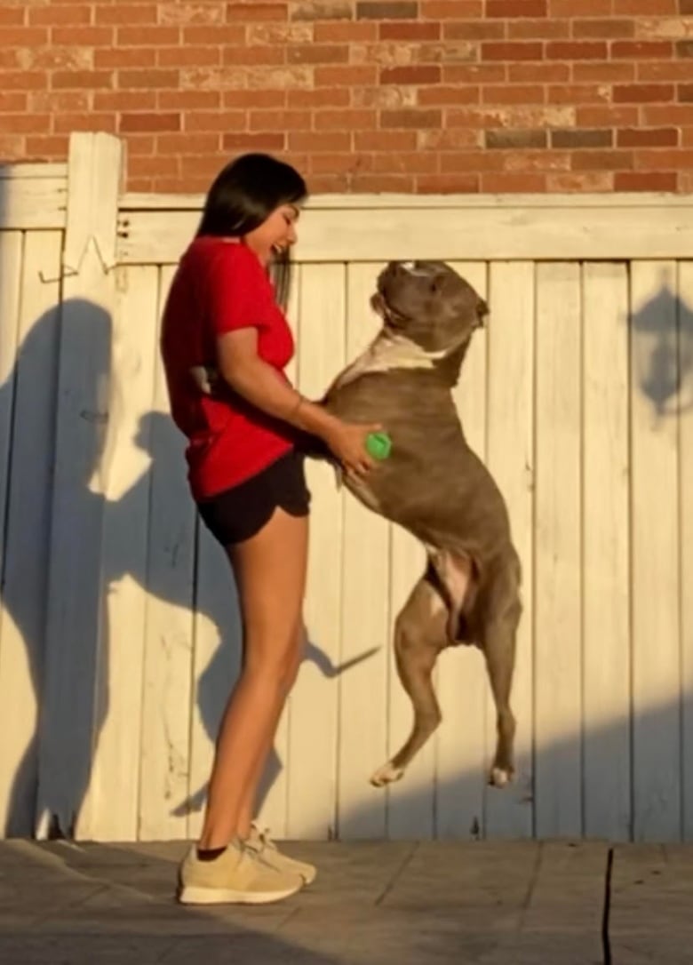 A dog jumps playfully alongside a woman who is standing up. 