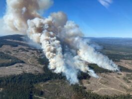 How B.C. is mobilizing for 'challenging' wildfire season