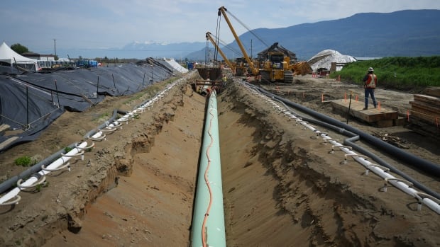 May startup of Trans Mountain pipeline expansion surprises analysts