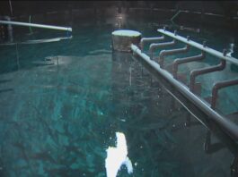 N.S. salmon operation in receivership after equipment failure