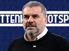 Tottenham transfer striking strategy for summer revamp