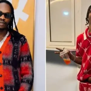 Lil Smart files a petition against Naira Marley, Zinoleesky over alleged threat to life