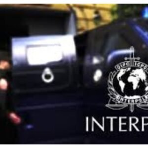 Interpol: 45 arrested in Africa over anti-terrorism, drug stings